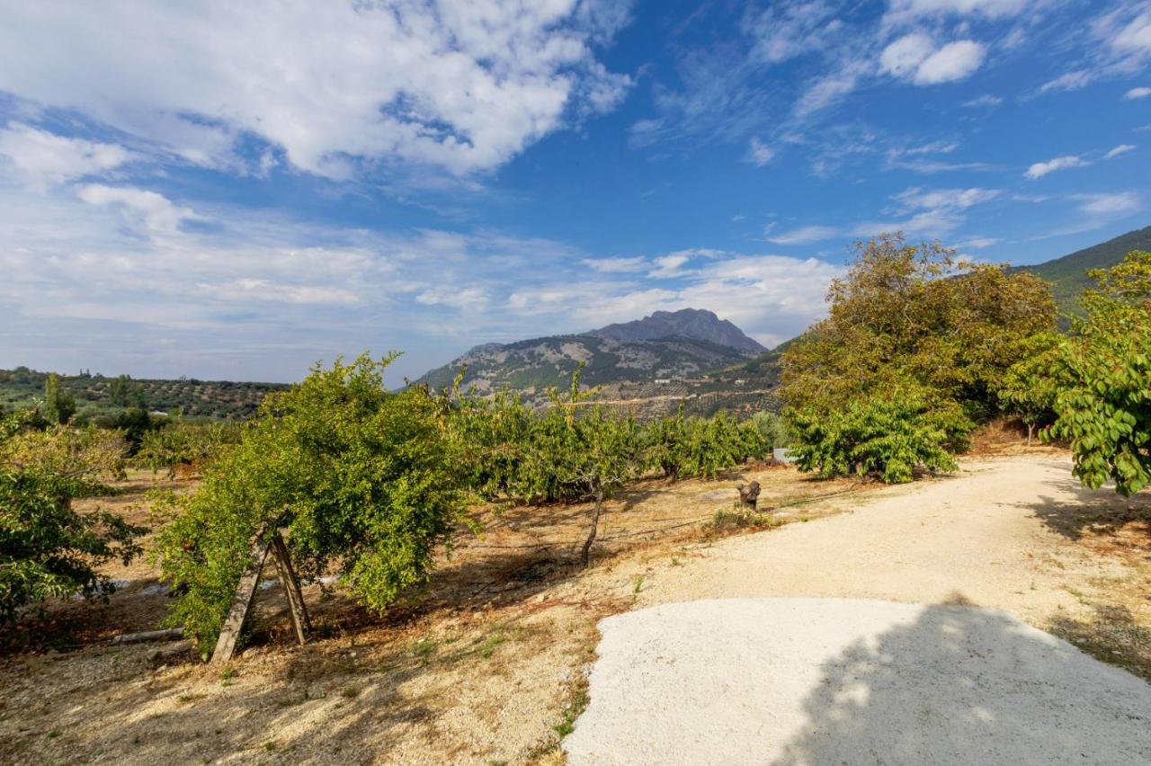 Villa Casa Jurinea Alzar Torres  Esterno foto
