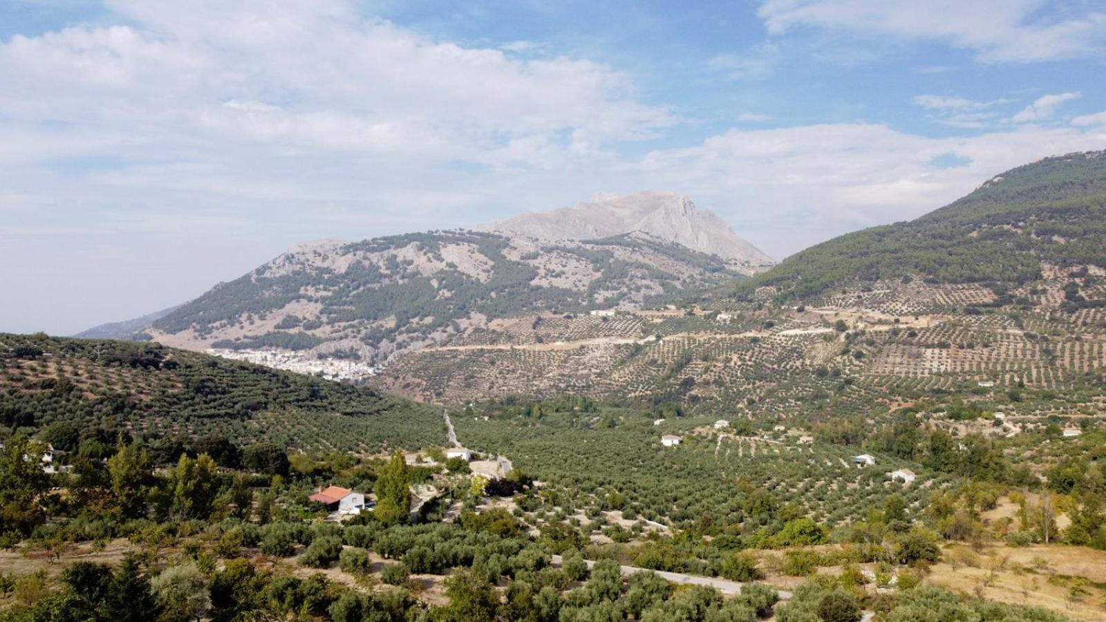Villa Casa Jurinea Alzar Torres  Esterno foto